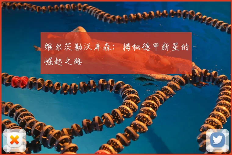 维尔茨勒沃库森：揭秘德甲新星的崛起之路