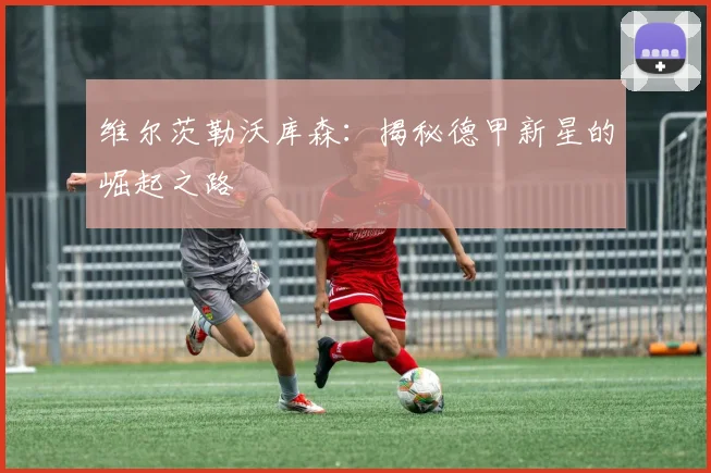维尔茨勒沃库森：揭秘德甲新星的崛起之路