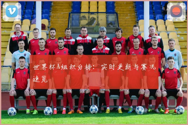 世界杯A组积分榜：实时更新与赛况速览